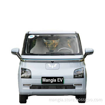 2-seat and 4-seat adult electric car with speed of 300km/h mini electric car will be popular in 2023 the new electric car Wuling